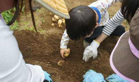 シェア畑 薬園台