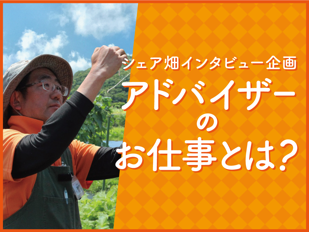 【シェア畑インタビュー企画】アドバイザーのお仕事とは?/シェア畑深大寺 菜園アドバイザー 瀧柳さん