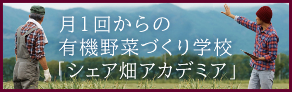 月一回からの野菜作り学校ーシェア畑アカデミア始まります