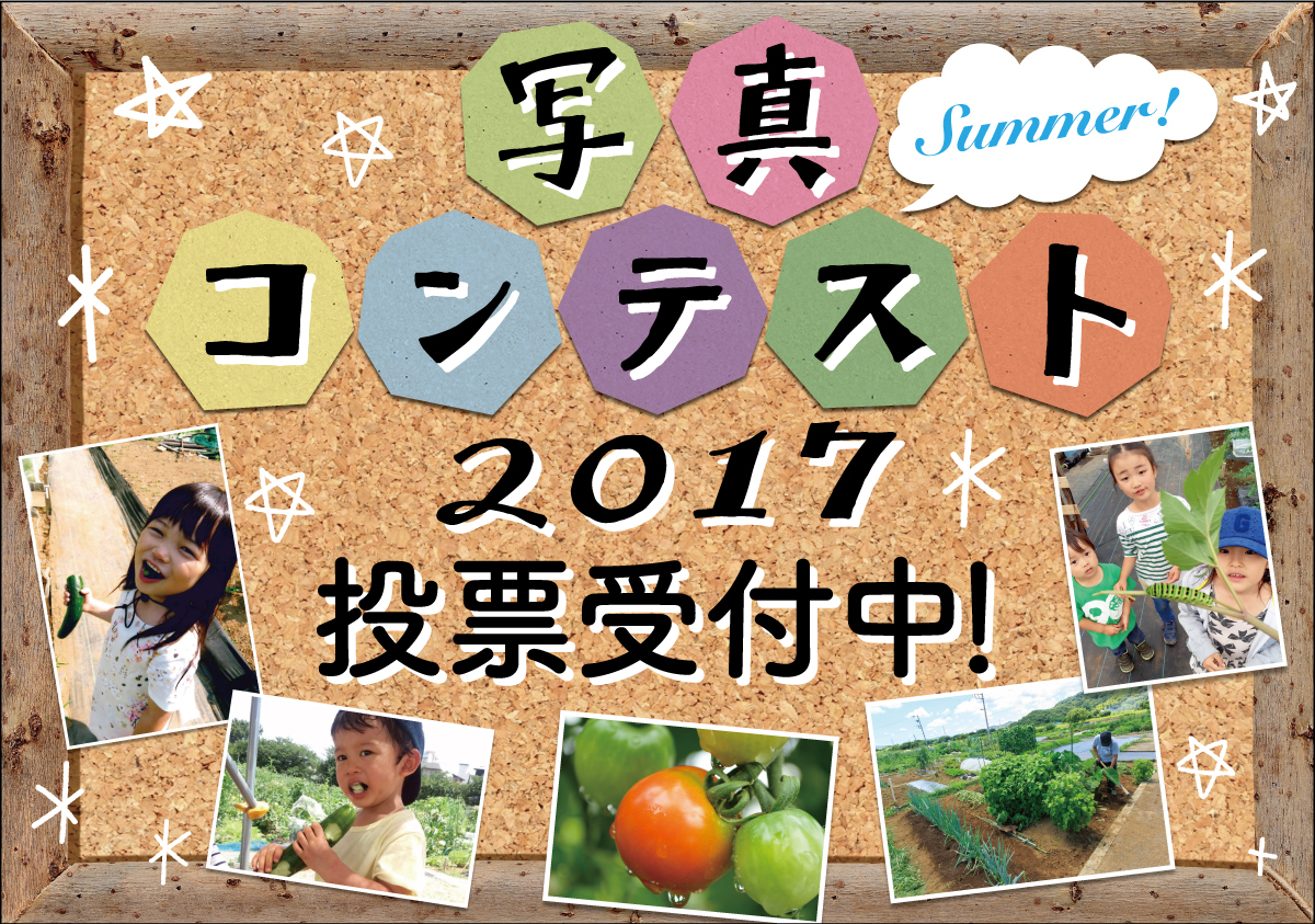 『写真コンテスト2017 Summer』投票開始!