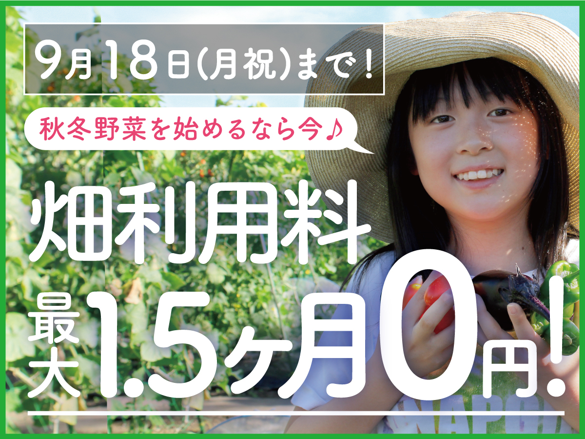 【最大1.5か月分の利用料が無料】夏のフリーレントキャンペーン!