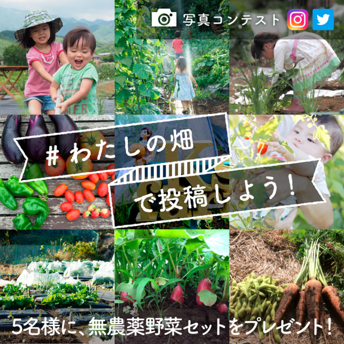 無農薬野菜を5名様にプレゼント!「#わたしの畑」フォトコンテスト開催中