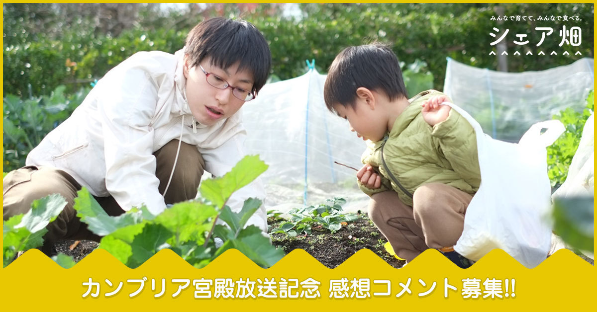 カンブリア宮殿放送記念SNSキャンペーン!野菜プレゼントも有り!