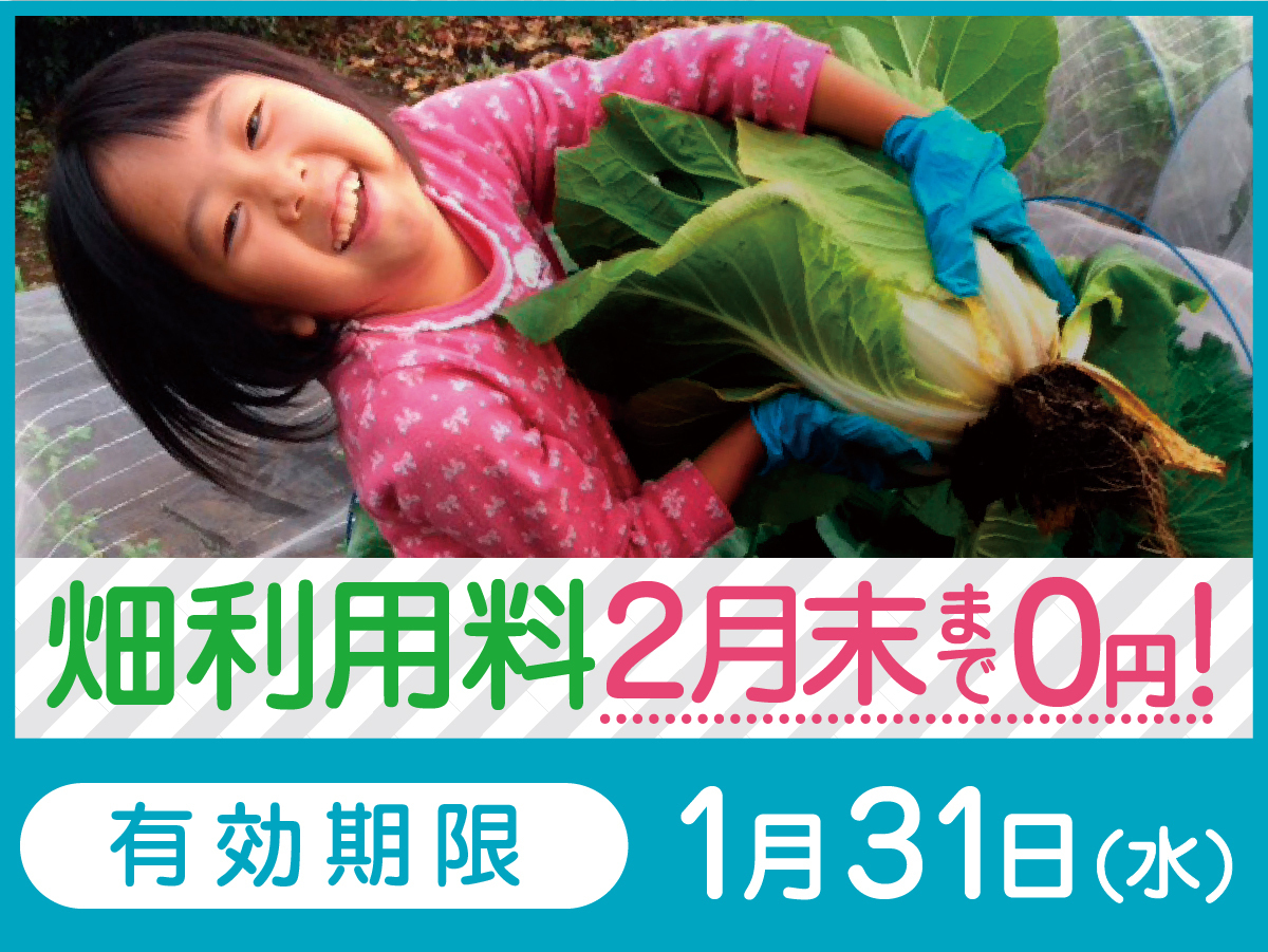 【急げ!今なら、畑利用料が2月末まで0円!】冬のフリーレントキャンペーン!