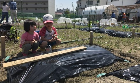 苗が来るのを待ってます