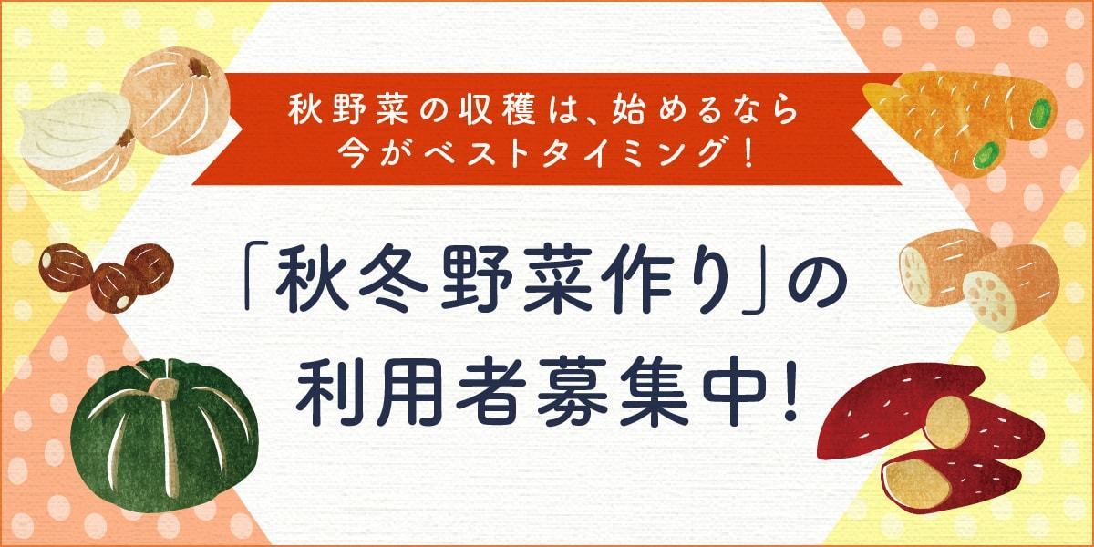 【秋スタート利用者募集!】秋野菜を作るならベストタイミング!利用者募集中!