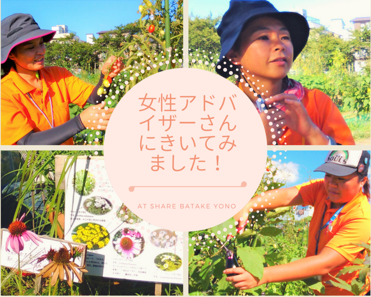 【シェア畑インタビュー企画】「大変なことは子育てと一緒でテキストどおりにいかないこと」/菜園アドバイザー山﨑さん、原田さん、松永さん(シェア畑与野・浦和 )