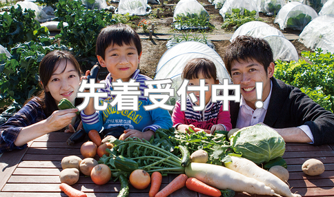シェア畑 市川本八幡