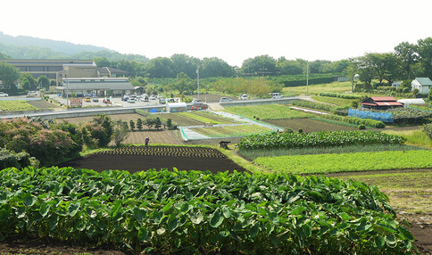 里山シェア大井松田